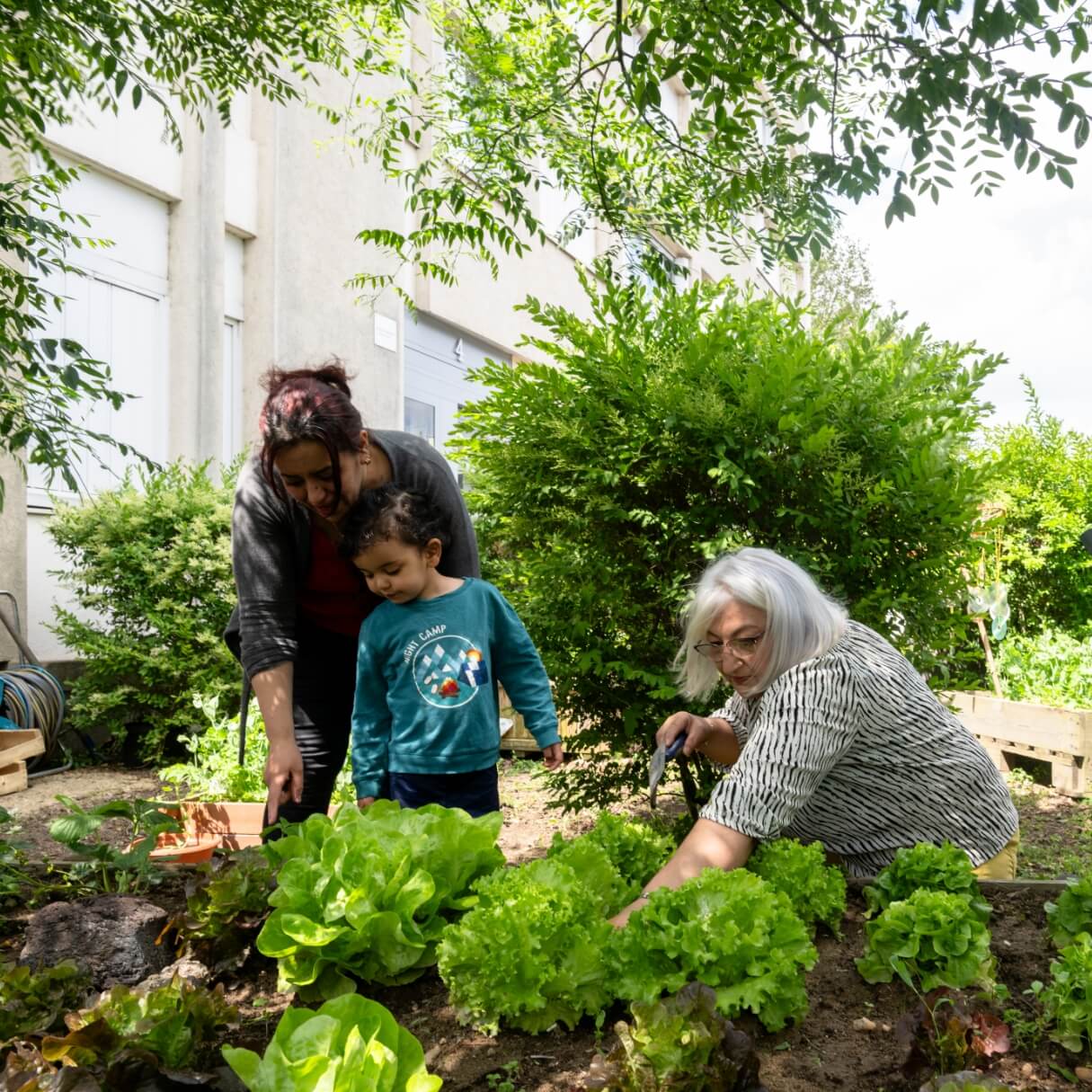 jardin eco-responsable